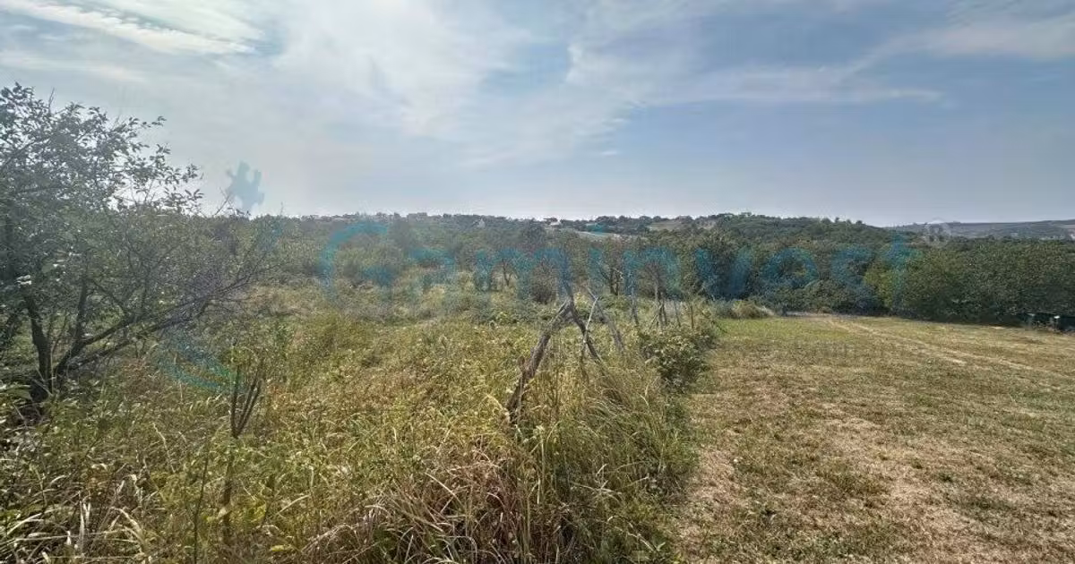 Teren Construcții intravilan de vânzare de 1579 mp, în Săldăbagiu de Munte