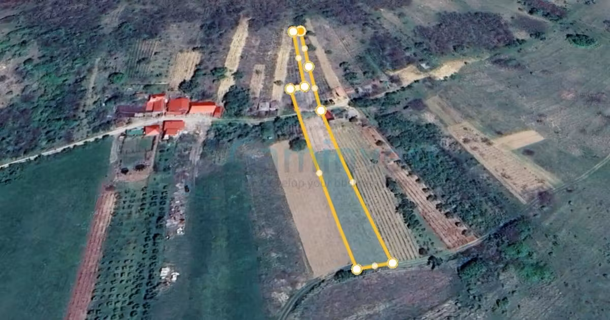 Teren agricol extravilan de vânzare de 2000 mp, în Uileacu de Criș