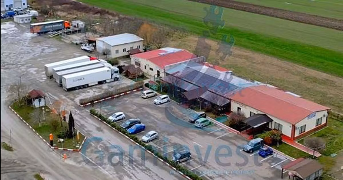 Spațiu comercial · 2088 m², Urvind, Aleșd