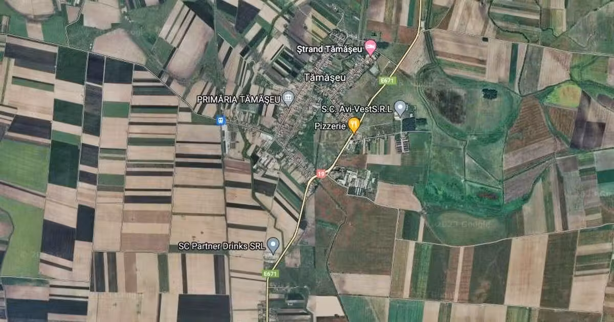 Teren Construcții intravilan de vânzare de 5000 mp, în Tămășeu