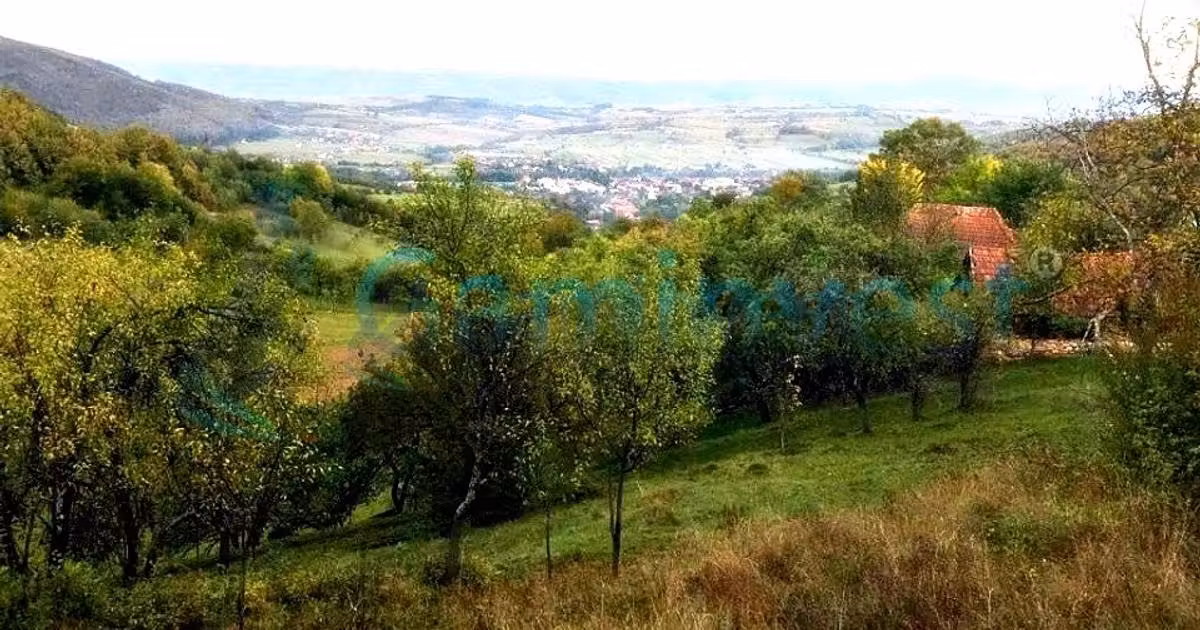 Teren agricol intravilan de vânzare de 1400 mp, în Șuncuiuș
