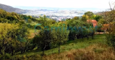 Teren Șuncuiuș