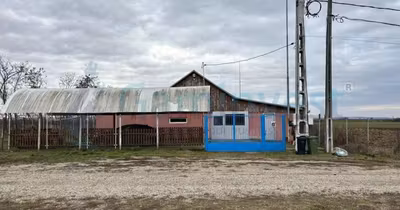 Spațiu comercial Nufărul
