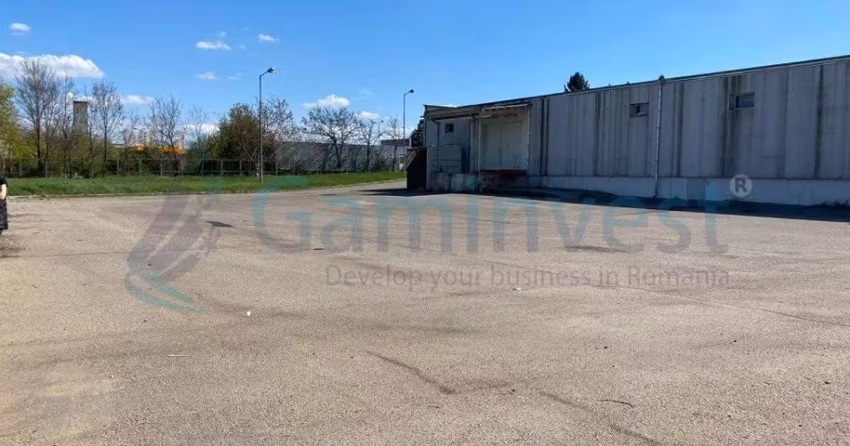 Spațiu industrial de vânzare de 609.00 mp, în Borș