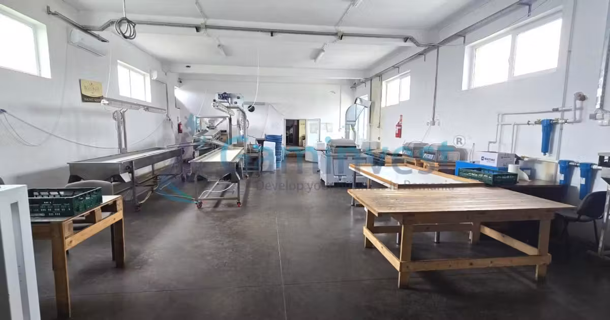 Spațiu industrial de vânzare de 560 mp, în Apateu
