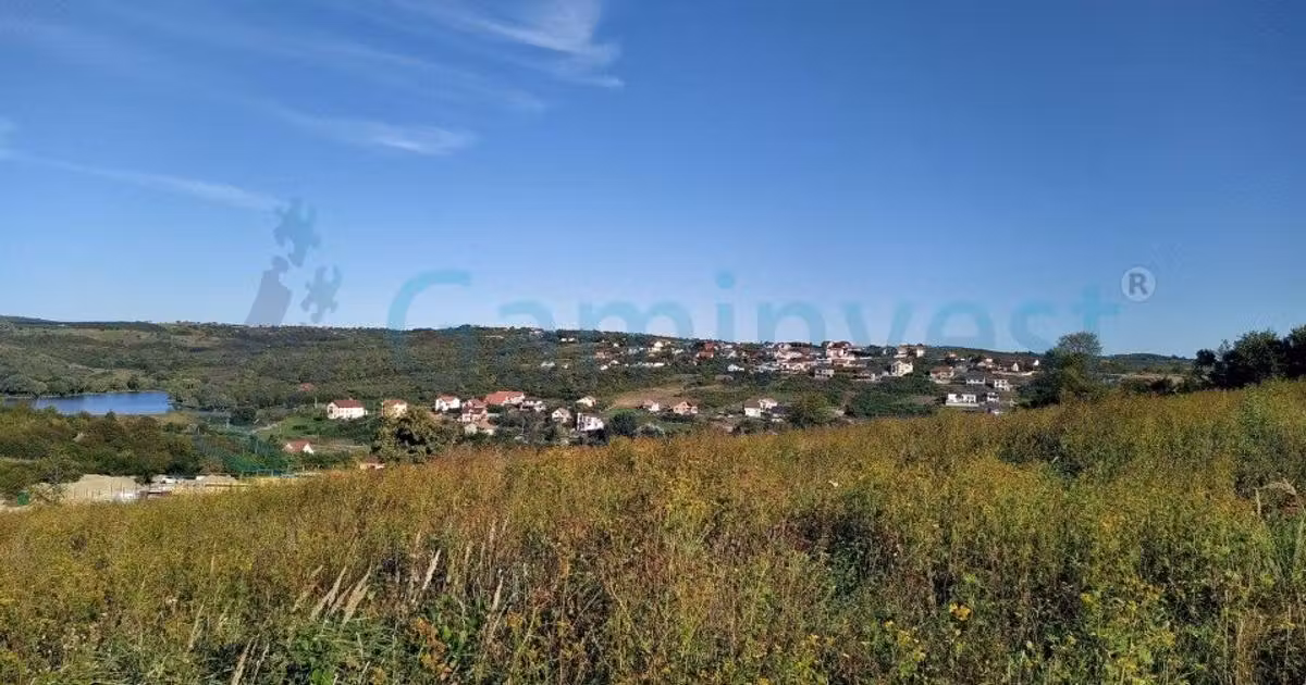 Teren Construcții intravilan de vânzare de 1050 mp, în Săldăbagiu de Munte