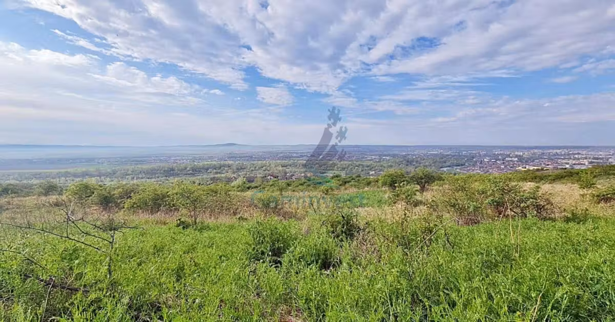 Teren Construcții intravilan de vânzare de 12217 mp, în zona Podgoria, Oradea