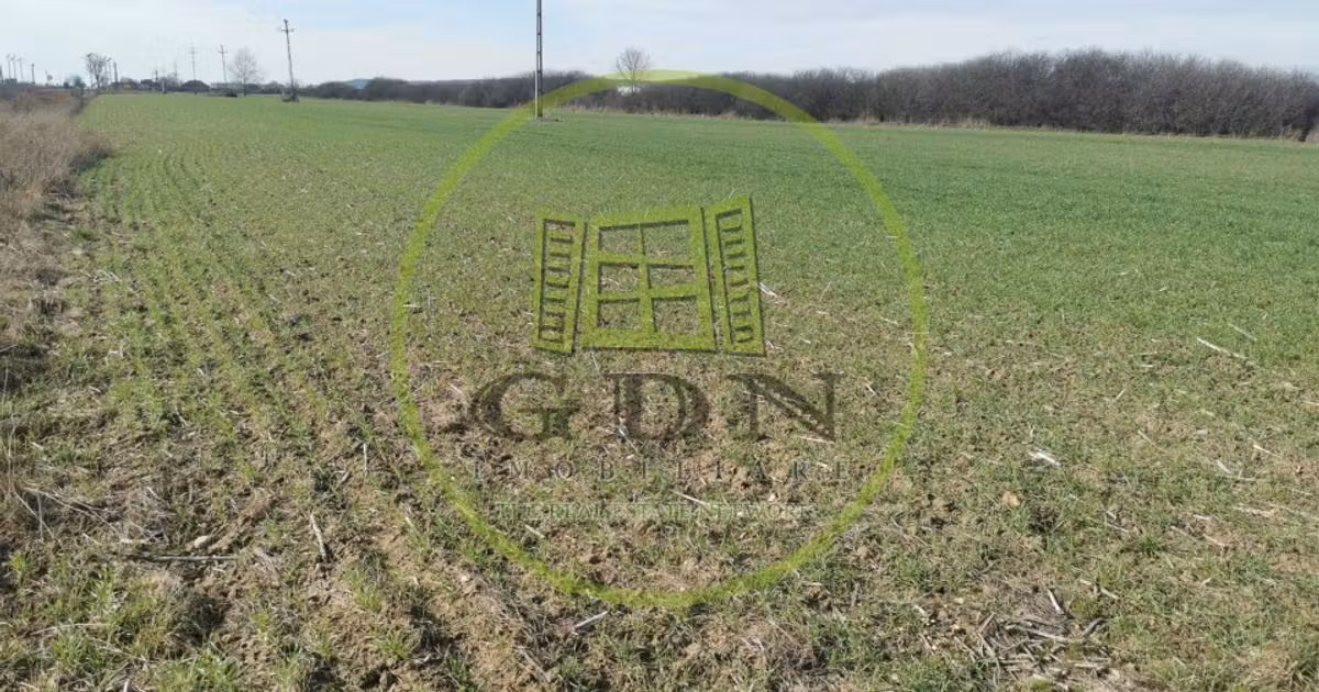 Teren agricol extravilan de vânzare de 21496 mp, în Săcădat