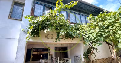 Casă Turnișor