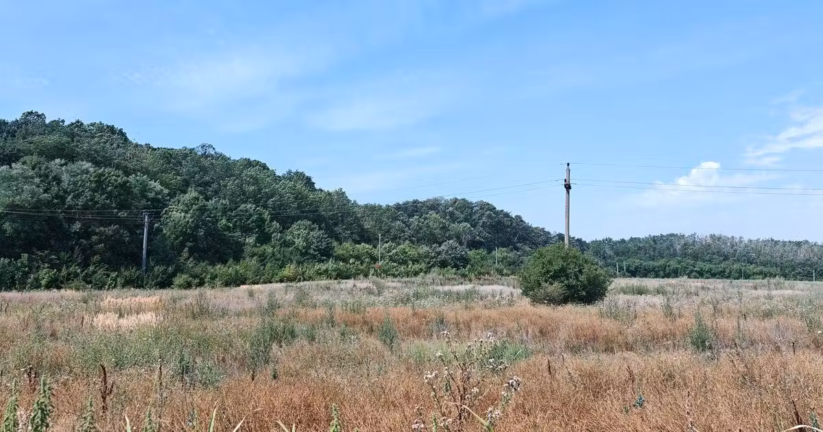 Teren Construcții intravilan de vânzare de 35000 mp, în Balotești