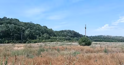Teren Balotești