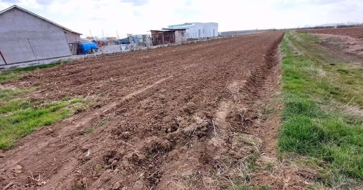 Teren Construcții intravilan de vânzare de 5000 mp, în Corbeanca