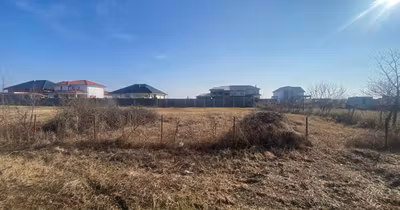 Teren Buziașului