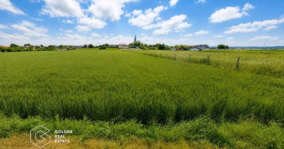 Teren agricol intravilan de vânzare de 5300 mp, în Vladimirescu