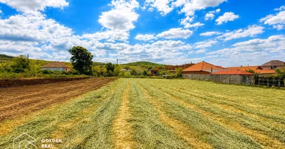 Teren Șiria