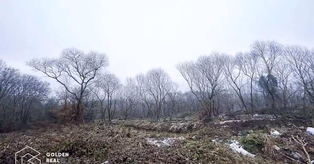 Teren agricol extravilan de vânzare de 3900 mp, în Lipova