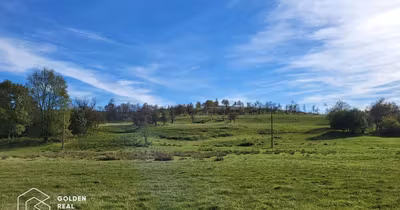 Teren Cuveșdia