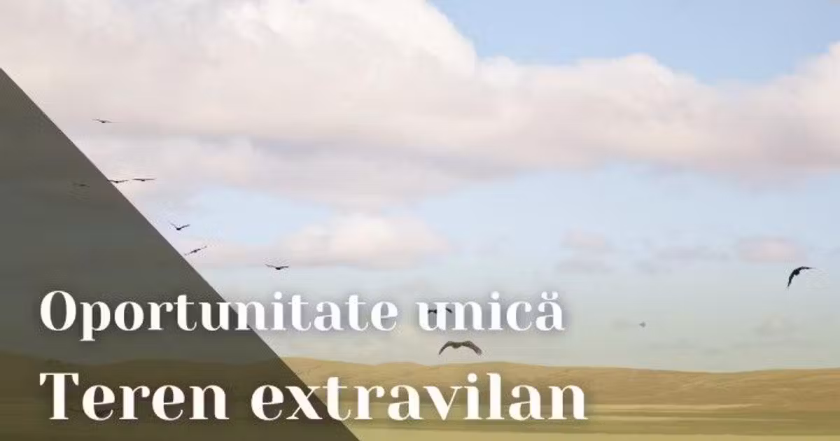 Teren agricol extravilan de vânzare de 9999 mp, în Pecica