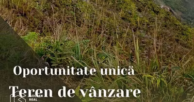 Teren Sânpaul