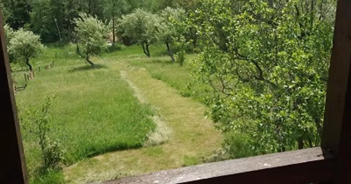 Teren extravilan de vânzare de 3000 mp, în Cosmina de Sus