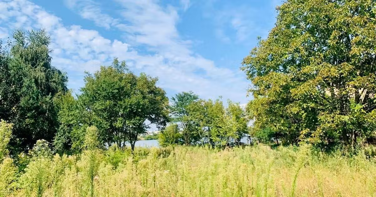 Teren Construcții intravilan de vânzare de 2066 mp, în zona Dămăroaia, Sector 1