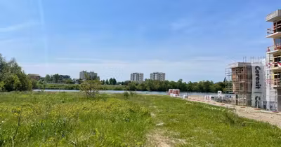 Teren Sisești