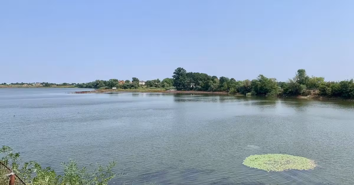 Teren agricol intravilan de vânzare de 45000 mp, în Crevedia