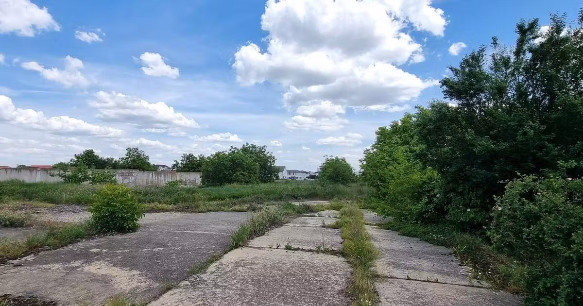 Teren agricol intravilan de vânzare de 80000 mp, în Otopeni