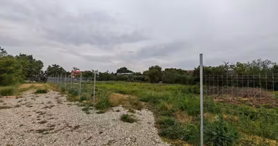 Teren Balotești