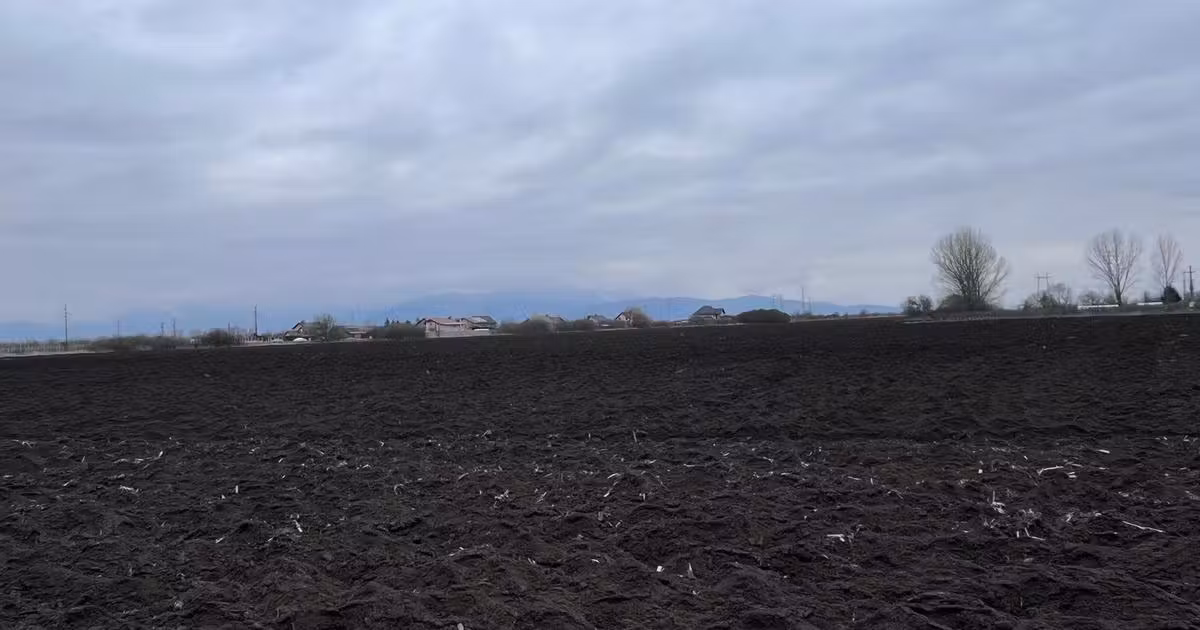 Teren agricol extravilan de vânzare de 50000 mp, în Hălchiu