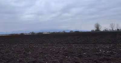 Teren Tractorul