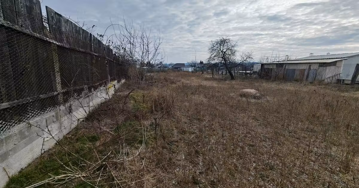 Teren Construcții intravilan de vânzare de 2005 mp, în zona Letea, Bacău