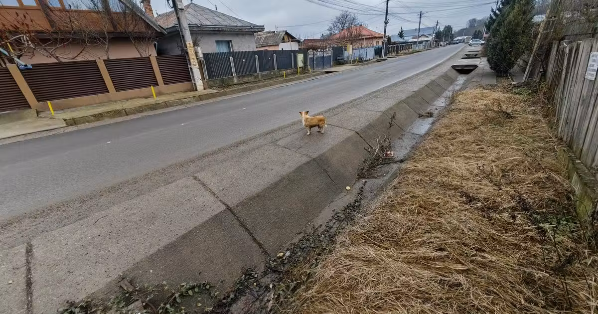 Teren Construcții intravilan de vânzare de 3000 mp, în Măgura