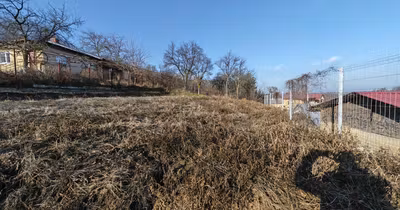 Teren Hemeiuș