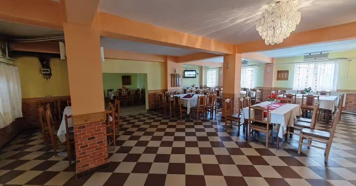 Spațiu comercial de vânzare 313 mp în Ruși-Ciutea