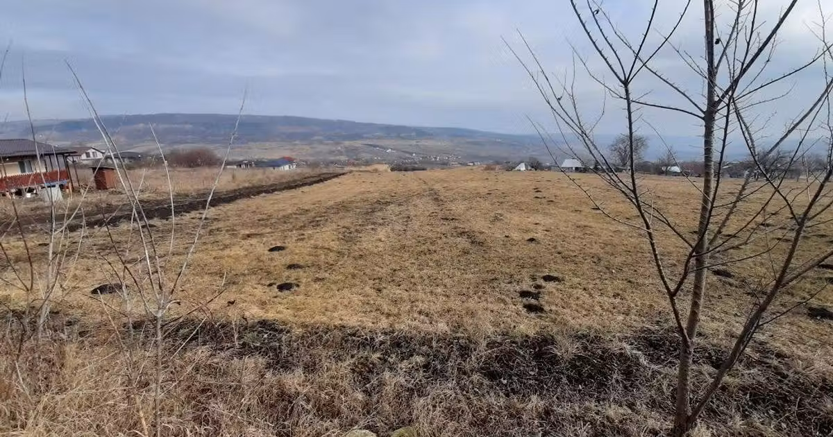 Teren agricol extravilan de vânzare de 3684 mp, în zona Iris, Cluj-Napoca