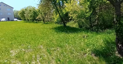Casă Bună Ziua