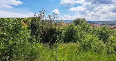 Teren Dâmbul Rotund