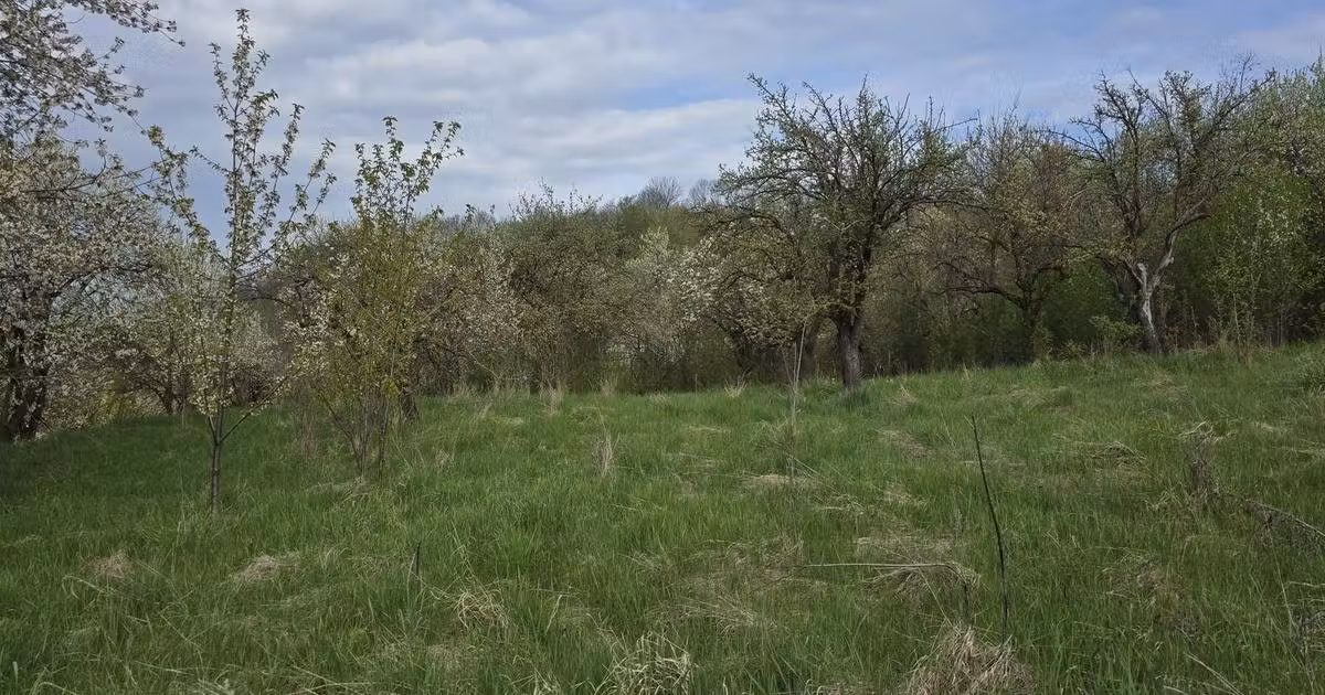 Teren Construcții intravilan de vânzare de 3347 mp, în Chinteni