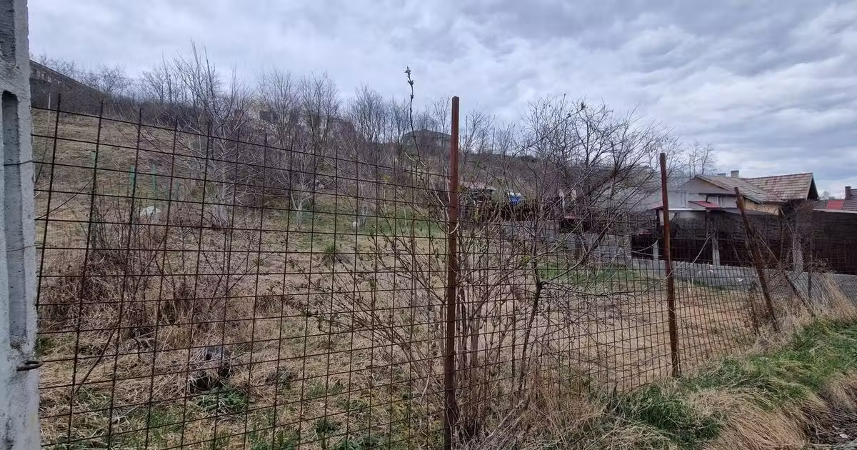 Teren agricol intravilan de vânzare de 584 mp, în Dezmir