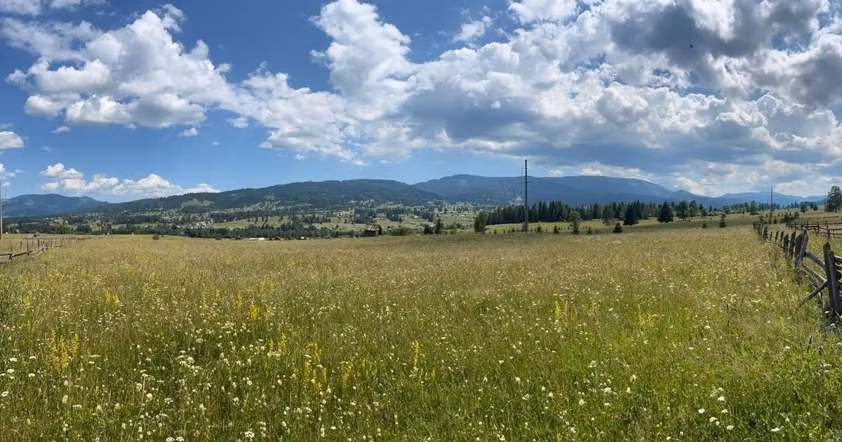 Teren Construcții intravilan de vânzare de 21000 mp, în Neagra Șarului