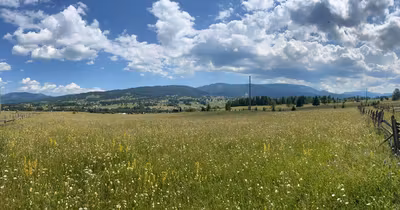 Teren Neagra Șarului