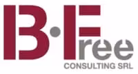 B Free Consulting