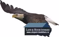 Land & House Intermed